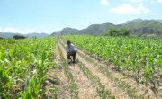 DPRK