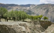 Afghanistan