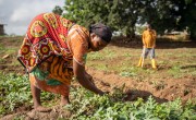 Nuru Chudi tends to her farm in Kenya, wearing colourful patterned skirt