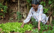 Mother of one, Asmaru Derebe at her home garden. (Photo: Eugene Ikua/Concern Worldwide)