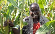 Jane, a farmer in Kenya in her crop field