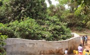Spring Box, Tree Planting, Freetown, SAFE Project. Photo: Paulina Hannah Banguara/Concern Worldwide