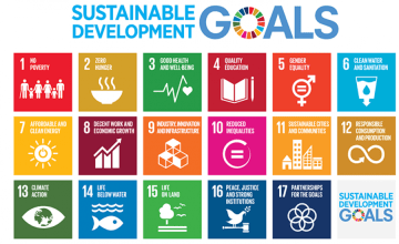 The Sustainable Development Goals. Photo: Concern Worldwide.