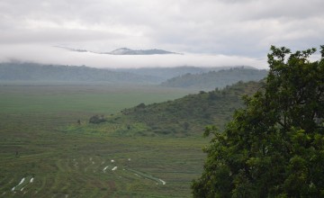 A photo of the hilly Rwanda landscape