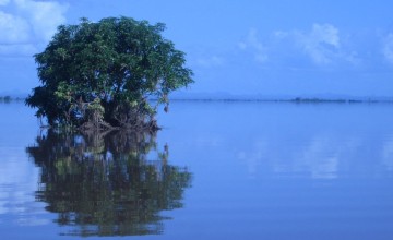 Malawi floods, Nsanje district – January 2015