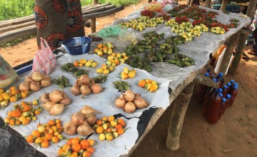 Food available for sale at a local market in Liberia, 2019. Photo: Catherine Shepperdley.