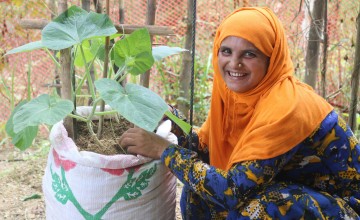 Senowara's homestead garden in Cox's Bazar refugee camp. 