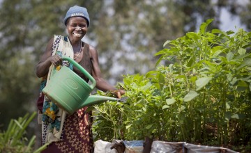 Euphemia Inina (42) mother of Alphonsine Niyonzima (21) waters their market garden at her home in Mabayi, Cibitoke. As part of the Graduation programme all participants are given seeds and training on how to grow food in their gardens. Photo: Abbie Trayler-Smith / Concern Worldwide.