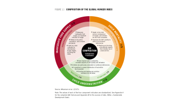 Understanding the Global Hunger Index