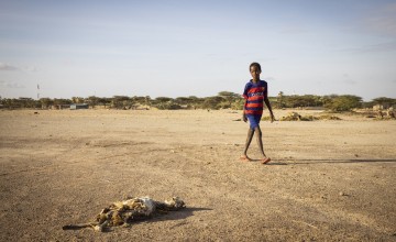 Dead livestock lie on the outskirts of North Horr, Marsabit, Kenya.