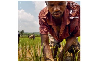 Abraham Bizimana clears a paddy field of weeds and algae, paddy fields of the Mwogo Valley cooperative, Rwanda. Daniel Pilar/ Welthungerhilfe 2014.
