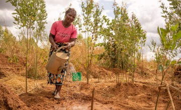 Cathreen Francisco demonstrates composting goat manure. Photo: Chris Gagnon / Concern Worldwide.