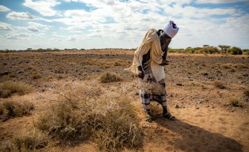 Kenyan man examining plants eaten by locusts