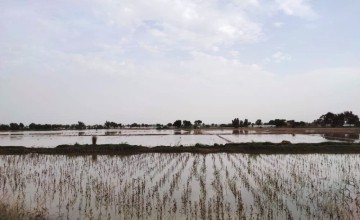 Flooding at Basti Manju Maachi. Photo: Concern Worldwide