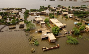 Village under water in Pakistan