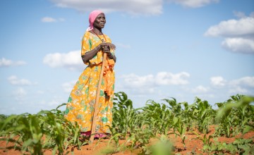 Mumina Mohamed on irrigated plot of maize next to her home in Subo village. Photo: Lisa Murray/Concern Worldwide