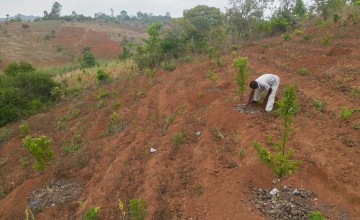 Man tending to vast field