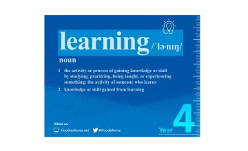 ZFRA Year 4 Learning Report
