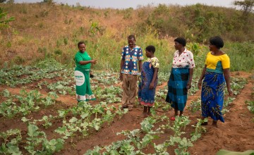 Five people standing in field with rows of plants