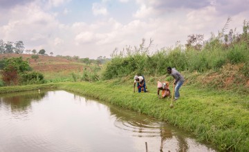Man and two women tending to pond bank with hoes and picks