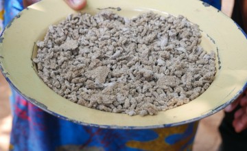 Plate of brown fish food
