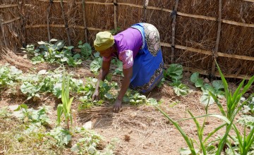 Woman tending to walled garden