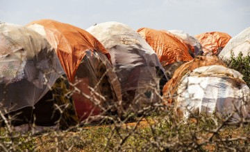 Makeshift tents behind bushes and brambles