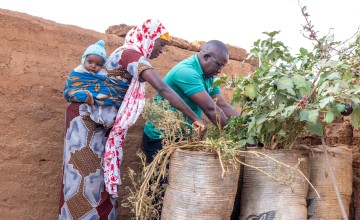 Ramatou is growing tomatoes, aubergines and beans.