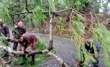 Rescuers clearing a road near Cox's Bazar after Cyclone Mocha.