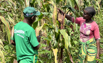 Feza Fatuma Amisi surveys her crops with member of Concern team