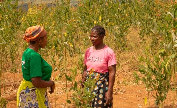 Concern staff in Malawi
