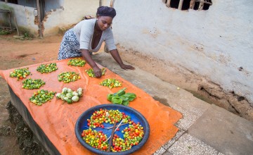 Kebah Bemah participates in one of Concern's farmer field schools in Lofa County, Liberia. She is pictured here with some of her Beetaball harvest. Photograph taken by Kieran McConville/Concern Worldwide.