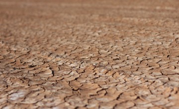 The scorched earth in northern Kenya. Photo: Jennifer K Nolan/Concern Worldwide.