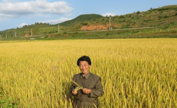 A farmer in Democratic People’s Republic of Korea. Photo: Concern Worldwide.