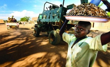 A boy sells dried fish in a camp for internally displaced people in Uganda in 2003. Photo: Concern Worldwide.