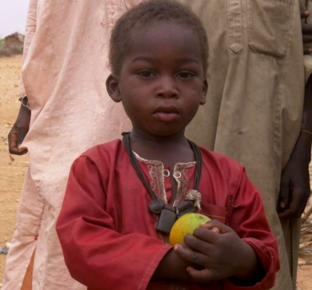 Sudan Appeal