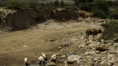 A dried up river bed near Carracad.