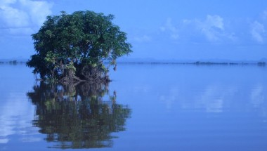 Malawi floods, Nsanje district – January 2015