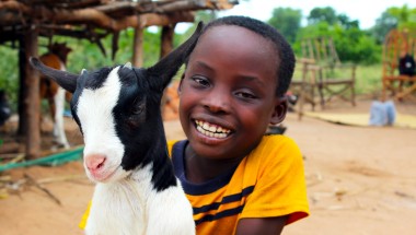 Nkhonde Maganizo (8) from Siki Village, Chithumba, Nsanje District, Malawi. Nkhonde&#039;s mother Jennifer used cash transfers from Concern to buy livestock, including goats. Her goats now are a great source of manure for her fields. When her goats reproduce, the kid goats will also do their part, and they will also be another source of income for Jennifer and her family. Photographer: Jason Kennedy / Concern Worldwide