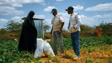 The BRCiS consortium aims at empowering farmers to manage both crop cultivation and livestock care. Photo: Concern Worldwide.