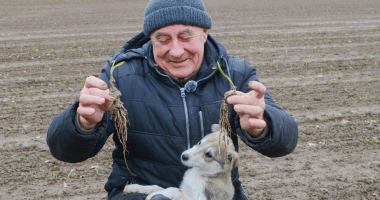 Ivan Zakharenko shows off his young garlic roots