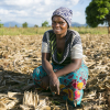 Farmer in Malawi sitting on her land, prepared using Climate Smart Agriculture techniques Farmer in Malawi sitting on her land, prepared using Climate Smart Agriculture techniques