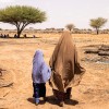 A Somali woman and her daughter inspect their field in Somaliland A Somali woman and her daughter inspect their field in Somaliland