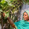 Malika Begum, participant in the Zurich Flood Resilience Programme. Photo: Gavin Douglas / Concern Worldwide