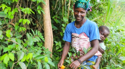 Kadiatu Bangura (35) with son Sheku Conteh (1) picking 'Makrun' - orange wild fruits in the local forest. Photo: Jennifer Nolan / Concern Worldwide. 