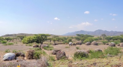 Concern Worldwide is helping communities in Kenya respond to a devastating drought.