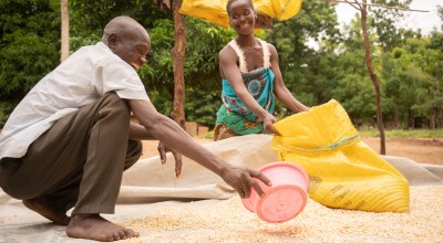 Couple in Malawi drying maize together