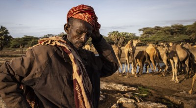 Molu Elema, 56, with his camels near North Horr in Marsabit. Photo: Ed Ram / Concern Worldwide.