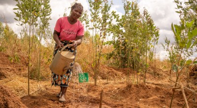 Cathreen Francisco demonstrates composting goat manure. Photo: Chris Gagnon / Concern Worldwide.