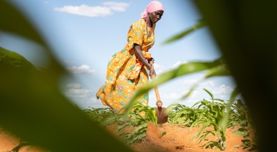 Mumina Mohamed on irrigated plot of maize next to her home in Subo village. Photo: Lisa Murray/Concern Worldwide